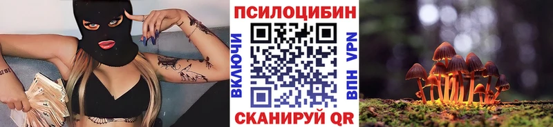 Псилоцибиновые грибы Psilocybe  Валуйки 